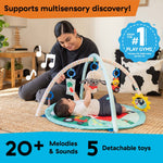 Baby Einstein Happy Harvest Touch & Feel Activity Gym with sensory play mat and farm-themed toys for infants
