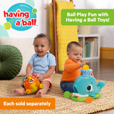 Bright Starts Bop Around Tiger Crawl & Chase Pal, Baby Activity Toy, 6 Months+