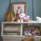 Ingenuity Premium Soft Plush Soothing Bean Bag Lovey, Nally the Owl