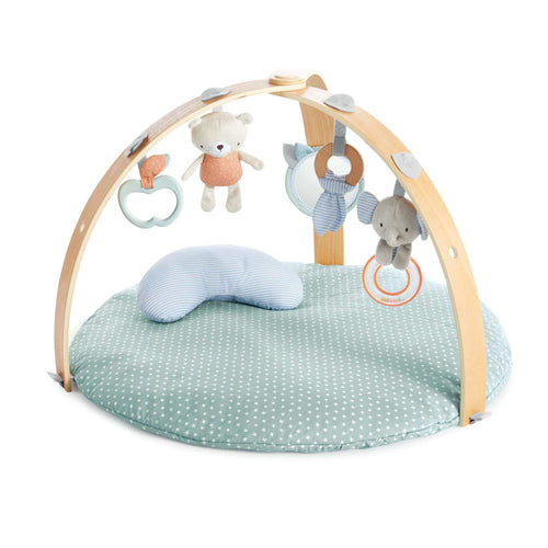Ingenuity Cozy Spot Reversible Duvet Activity Gym with wooden toy bar and plush mat
