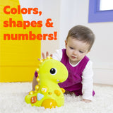 Go, Go, Dino™ Crawl & Count Toy