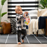 Baby Einstein + Hape Playful Painter Infant Art Toy