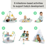 tummy to toes 6-in-1 milestones center