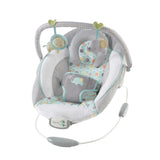 Morrison™ - Soothing Bouncer