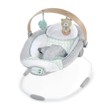 cozy spot soothing bouncer