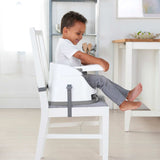 Ingenuity Baby Base 2-in-1 Booster Feeding and Floor Seat, Pink Flambe