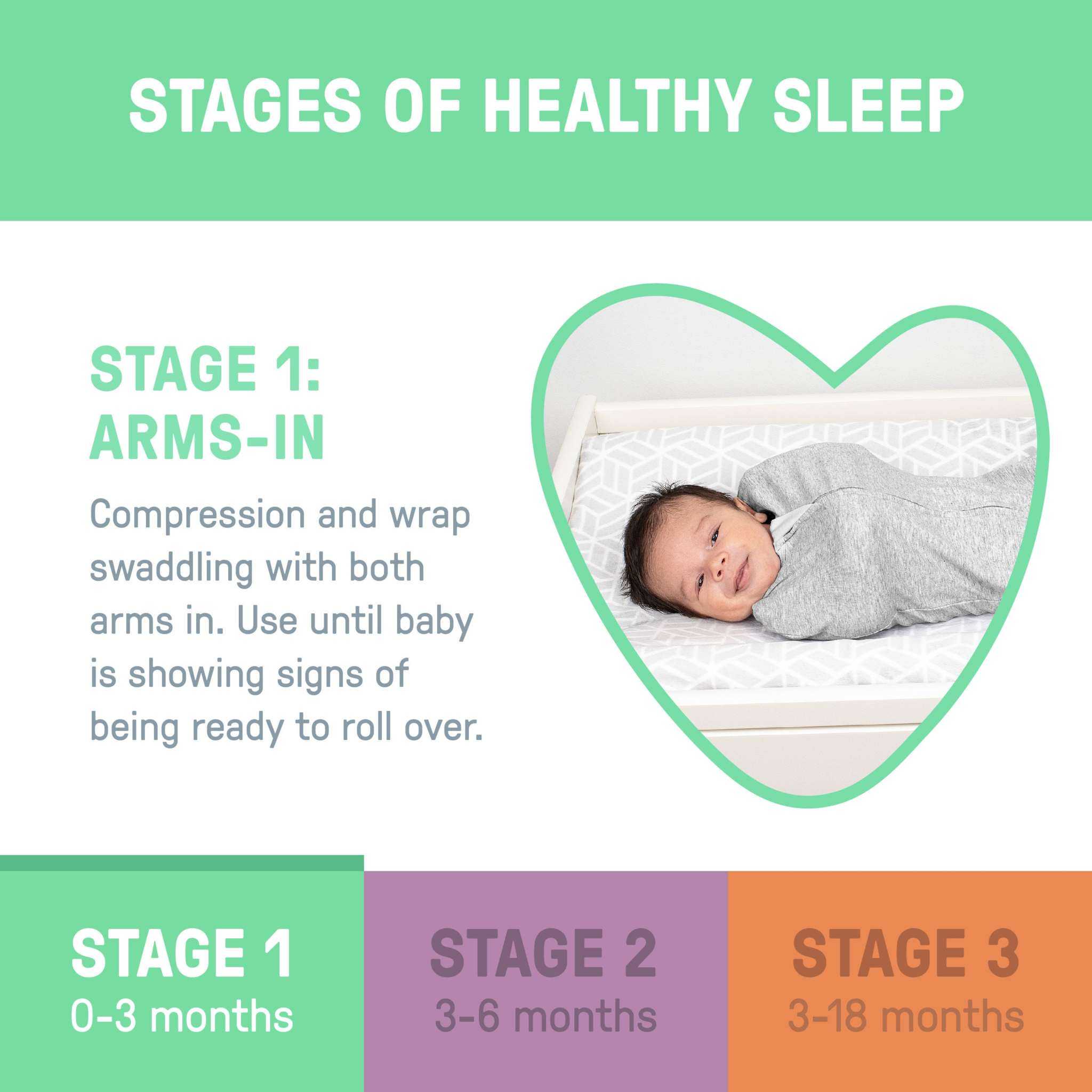 SwaddleMe by Ingenuity Swaddle Pod for newborns with dino print