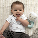 Ingenuity Premium Soft Plush Ring Rattle, Sheppy the Sheep