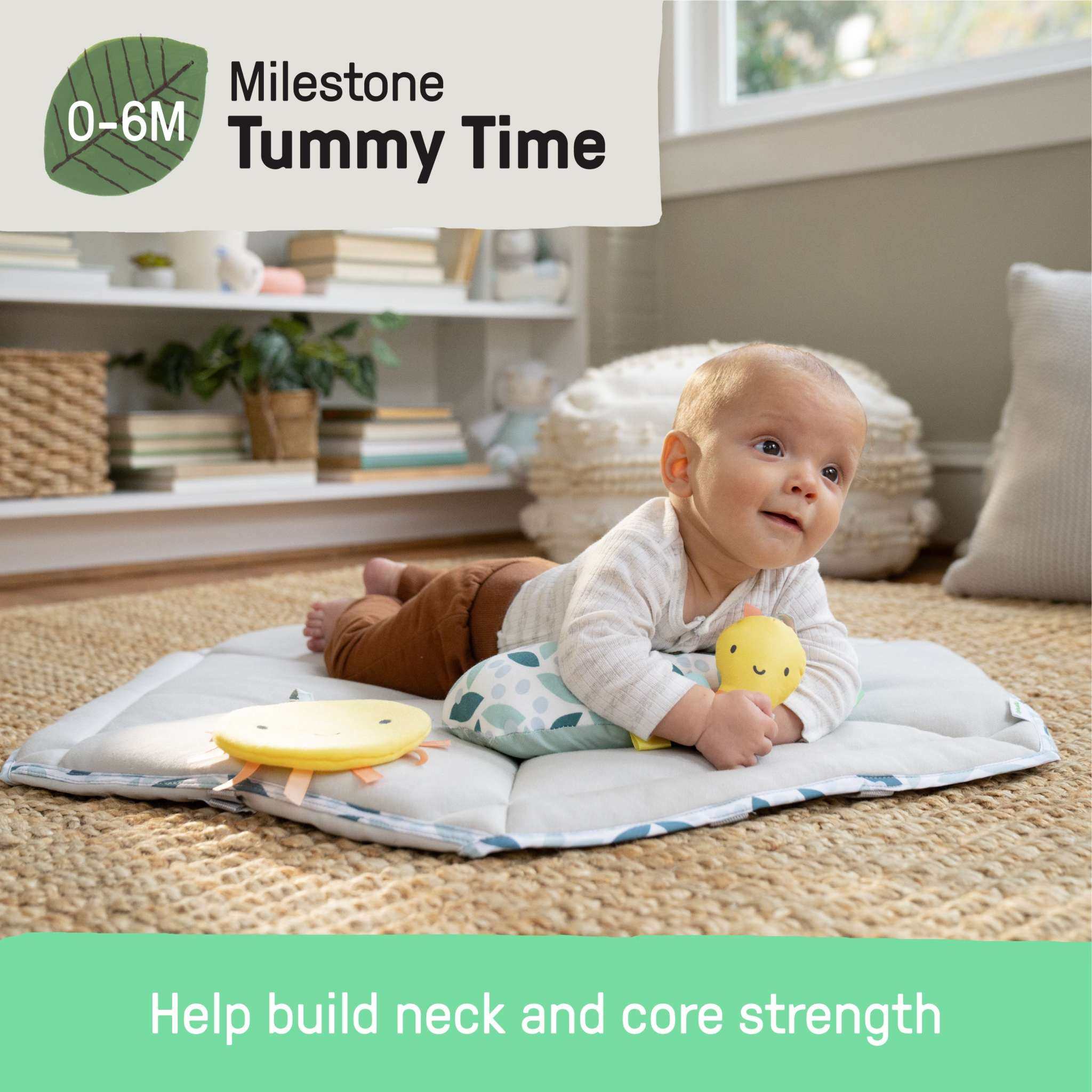 baby in tummy to toes 6-in-1 milestones center